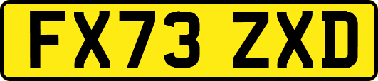FX73ZXD