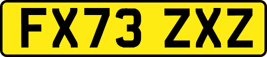 FX73ZXZ