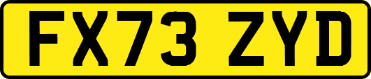 FX73ZYD
