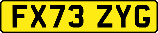 FX73ZYG