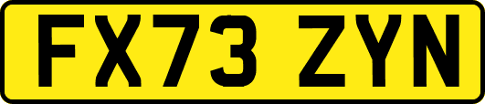 FX73ZYN