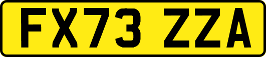 FX73ZZA