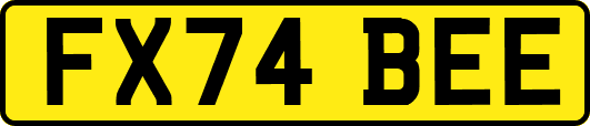 FX74BEE