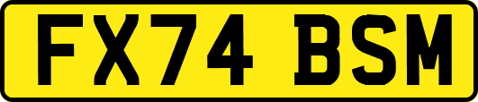 FX74BSM