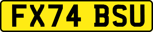 FX74BSU
