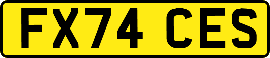 FX74CES