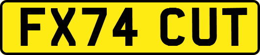 FX74CUT