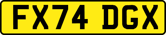 FX74DGX