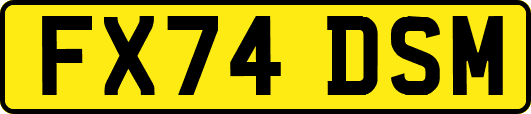 FX74DSM