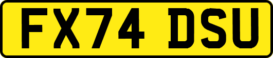 FX74DSU