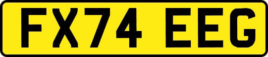 FX74EEG
