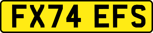 FX74EFS