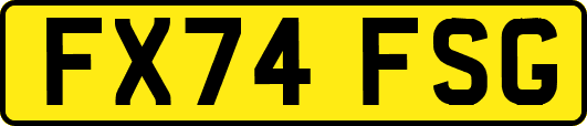 FX74FSG