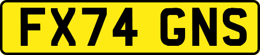 FX74GNS