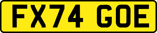FX74GOE