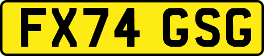 FX74GSG