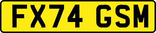 FX74GSM