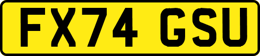 FX74GSU