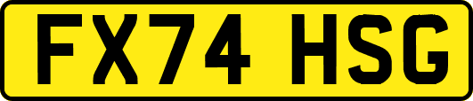 FX74HSG