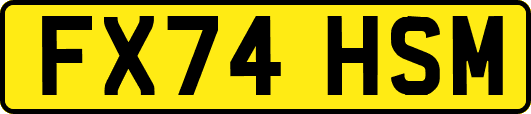 FX74HSM