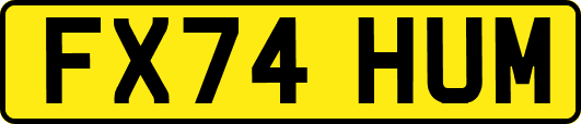 FX74HUM