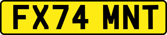 FX74MNT