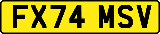 FX74MSV