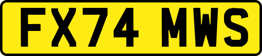 FX74MWS