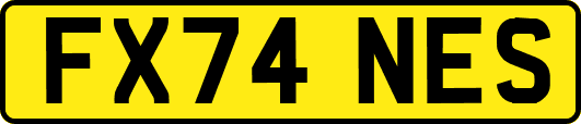 FX74NES