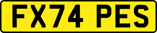FX74PES