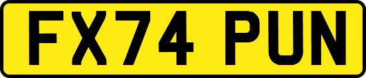 FX74PUN