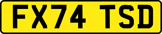 FX74TSD