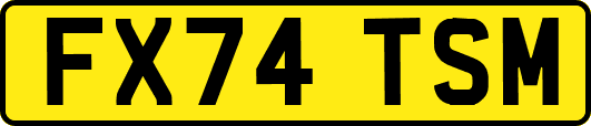 FX74TSM