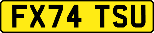 FX74TSU