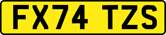 FX74TZS
