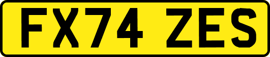 FX74ZES