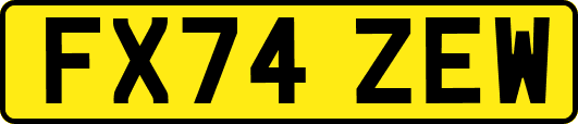 FX74ZEW