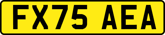 FX75AEA