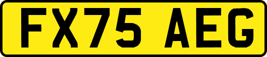 FX75AEG