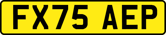 FX75AEP