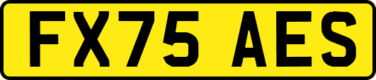 FX75AES