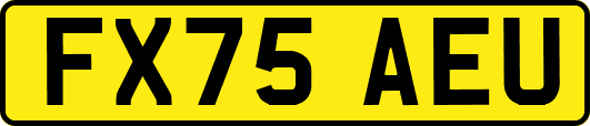 FX75AEU