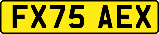 FX75AEX