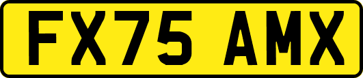 FX75AMX