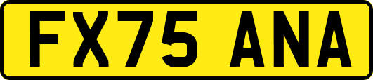 FX75ANA