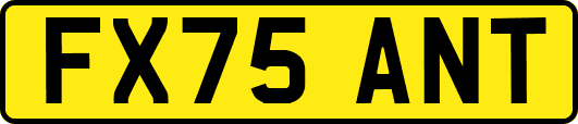 FX75ANT