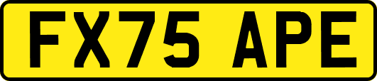 FX75APE