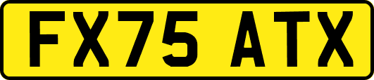 FX75ATX