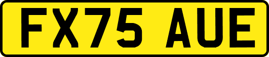 FX75AUE