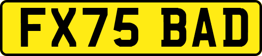 FX75BAD